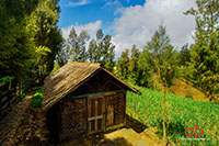 Sony A6000 | Samyang 10mm | 1/125 | f8 | ISO 100 | Single Exposure